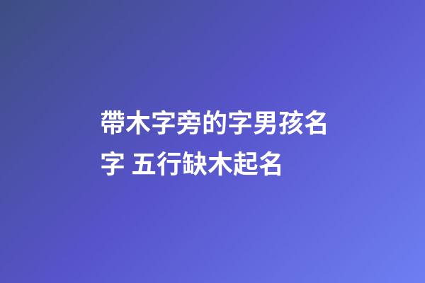 帶木字旁的字男孩名字 五行缺木起名-第1張-公司起名-玄機派